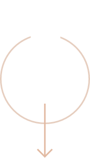 scroll-down